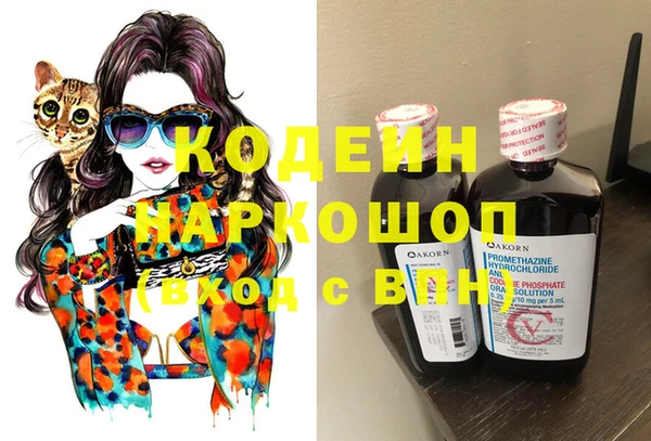 гидра Абаза