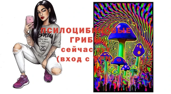 гидра Абаза