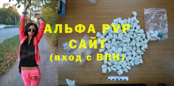 гидра Абаза