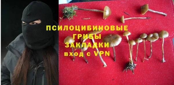 гидра Абаза