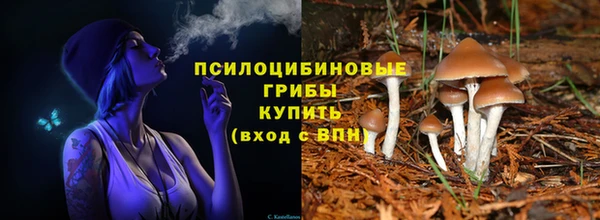 гидра Абаза